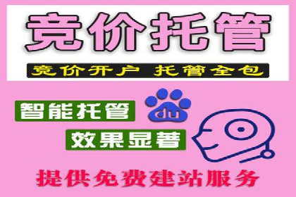 搜索引擎优化（SEO）在百度上的应用案例研究